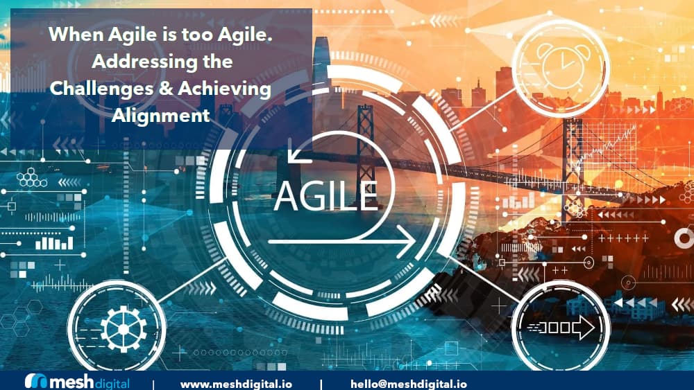 When Agile is Too Agile: Addressing Challenges and Achieving Organizational Alignment in the Enterprise