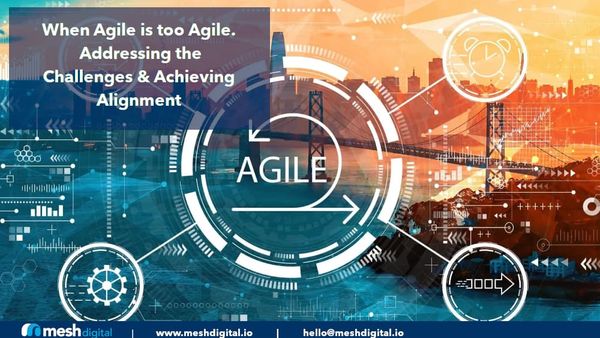 When Agile is Too Agile: Addressing Challenges and Achieving Organizational Alignment in the Enterprise